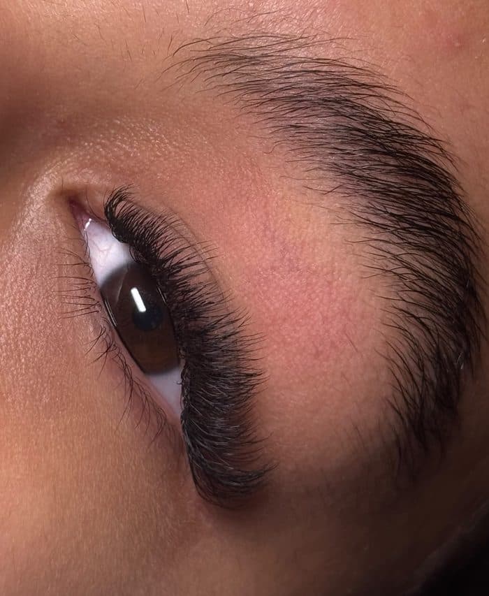 Lashes